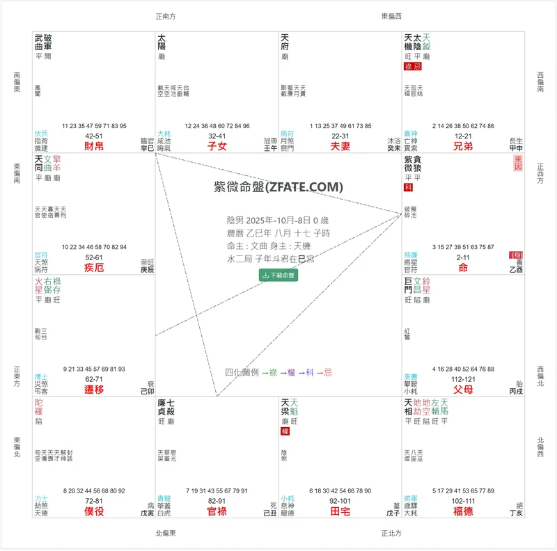 紫微斗數命盤圖