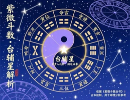 台輔星